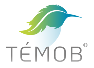 Logo TEMOB