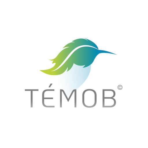 logo témob carré adapté pour favicon